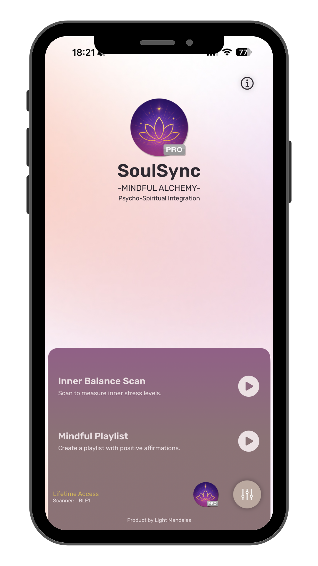 SoulSync companion application visual